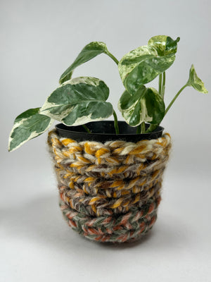 Hand Crochet 4” Pot Cover