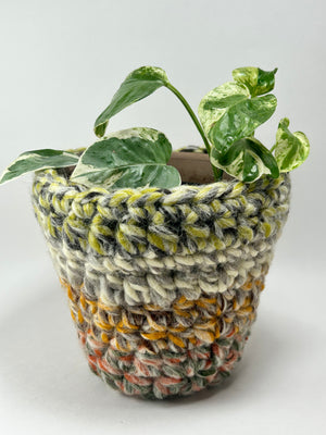 Hand Crochet 4” Pot Cover